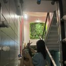 땅콩노래연습장 이미지