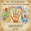 제1부 내 손안의 생명 스크린: 우주 저울에 접속하다 이미지