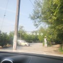 숲속에 안뜰 | 용인 조용한 캠핑장, 숲속에안뜰 숙박 후기(+추가요금, 장단점)