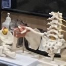 윤재활의학과의원 이미지