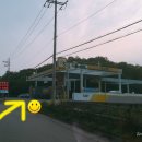 돌고래주유소 이미지