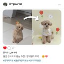 멍데렐라 - 김해시 금관대로1183번길 3-7 | 멍데렐라