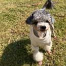 스테이 만천 이미지