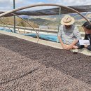 엄씨농장 이미지