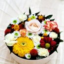 삼죽초교병설유치원 이미지