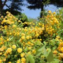 허브밸리(암석원) 이미지