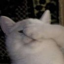 4207 | 11-2. 열한 번째 선택 (바시움 스튜디오 웨딩촬영 후기/박한솔 작가님/우아르 헬퍼(재숙 이모님) 솔직...