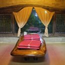 나무와흙 이미지