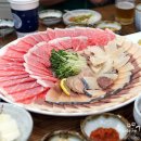 유명참치 이미지