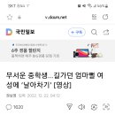 삼청교육대 부활이 시급함 이미지