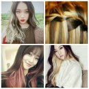 썬헤어 네이버블로그
