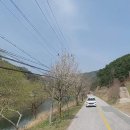 주천공인중개사사무소 이미지