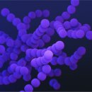 메디클라우드 이미지