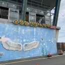 도리도민박 | 화성 궁평항 무료차박 차크닉 장소 아이와 함께 주말 나들이