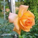 더웰속편한내과의원 이미지