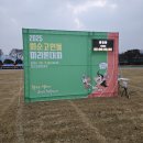 화순 하니움문화스포츠센터 세미나실2 | 🎉 2025 화순 고인돌 마라톤 하프 첫 도전! 2시간 18분 완주 성공 후기