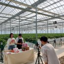 논산시농업기술센터 이미지