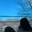 에스에스리조트 이미지