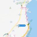 성산읍 신풍리 하동 | 2021.05.30(일) 신풍신창바다목장: 뚜벅이 강아지 반려견 애견 동반 제주도 동쪽 여행, 한달살기 D+18