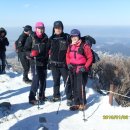 2월 첫 번째 산행 및 특별 산행 안내 이미지