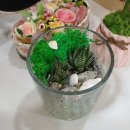 태백시립도서관 이미지