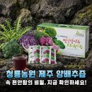 청룡농장 | 100% 제주산 양배추의 힘! 청룡농원 양배추즙 체험기