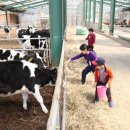 농촌목장 이미지