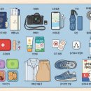 와일드라이프스튜디오 | 가족들과 함께 떠나는 싱가포르여행 가이드, 이것만 보면 준비 끝