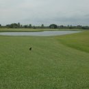 TOP골프스쿨 이미지