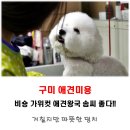 가위왕국