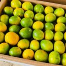 일월농장 이미지