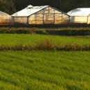 주식회사 다우 이미지