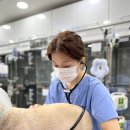 별내동물병원 | 별내24시동물병원 반복되는 무기력과 구토 증상을 보인다면 의심해야 할 '이것'