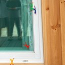 촌캉스독채외갓집 이미지