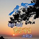 매일크리스마스 이미지