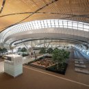 한대전자 | 태국 전자담배 단속 후기｜수완나폼공항 실제 체감 + 조심해야 할 포인트