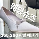 웨딩구두 추천, 255~260 왕발 신부의 실패 없는 구매 팁 (+찰스앤키스 방문 후기)