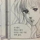 닥터정 동물병원 이미지