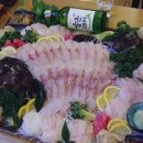 붉은우럭 이미지