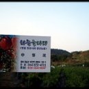 우리아빠사과