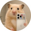 손바닥 글방. 시즌2 | 정서불안 김햄찌 굿즈 시즌그리팅 2026 오리지널 에디션 No.1 Vanilla 진짜 후기