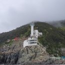 최송화 | 부산 여행 비바람 몰아치던 날 태종대 은하수 유람선 탑승 후기