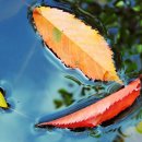 백옥세탁소 이미지