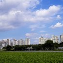메밀꽃필무렵 Daum카페