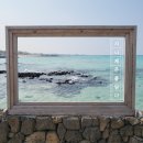 신촌초등학교 (신촌리방면) | 혼자서 제주여행 :: 제주동문시장, 도두봉, 무지개해안도로, 닭머르해안길