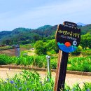 남강 이미지