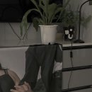 한숲다몬공인중개사사무소 | 한남대 부동산 ( 내돈내산 월세 전세 )새피앙부동산 추천 / 신입생 기숙사 (정문, 쪽문, 후문) 원룸 방...