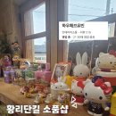 [경주] 황리단길 소품샵 추천, '하우해브유빈' 방문 후기