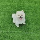 소풍가자 이미지