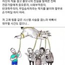 [건강이슈] 오샘. 코로나에 감염된 환자는 장내세균총의 균형이 깨진다?는 연구논문 이미지